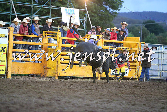 QueanbeyanRodeo2014_3377