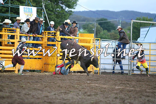 QueanbeyanRodeo2014_3250