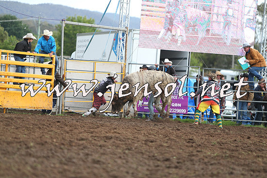QueanbeyanRodeo2014_2712