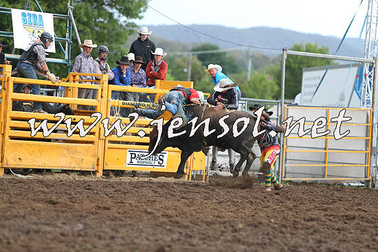 QueanbeyanRodeo2014_2665