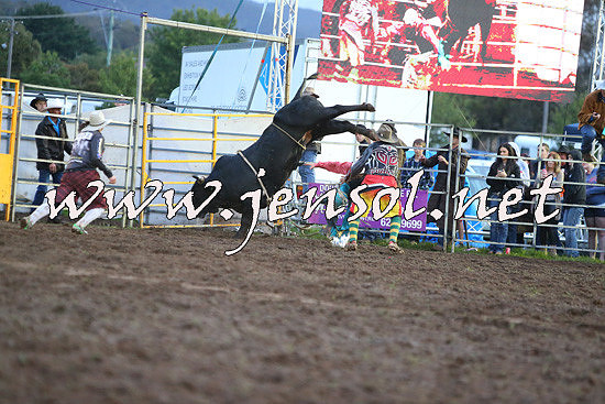 QueanbeyanRodeo2014_3311