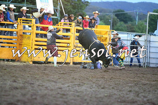 QueanbeyanRodeo2014_3381