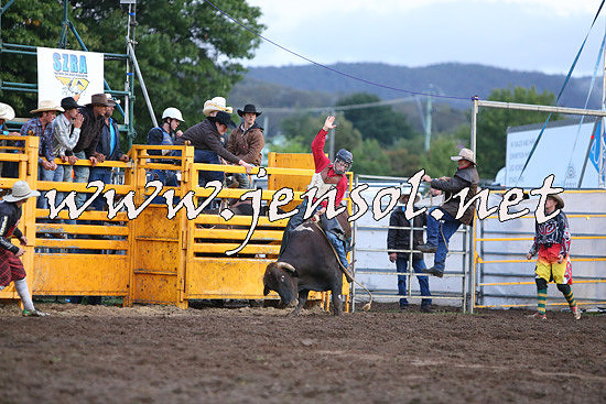 QueanbeyanRodeo2014_3255