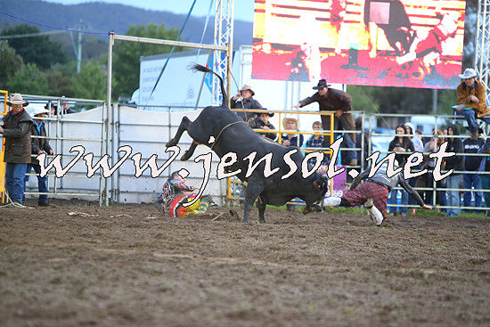 QueanbeyanRodeo2014_3400