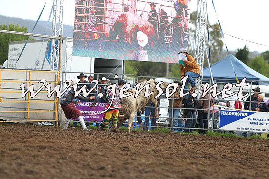 QueanbeyanRodeo2014_2705