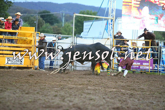 QueanbeyanRodeo2014_3397