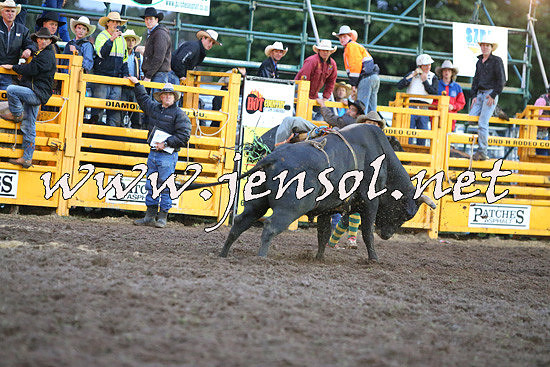 QueanbeyanRodeo2014_3338