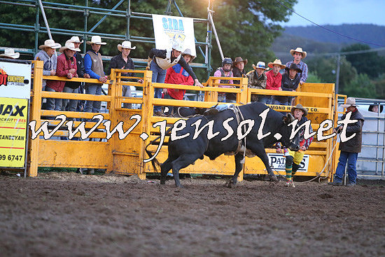 QueanbeyanRodeo2014_3375