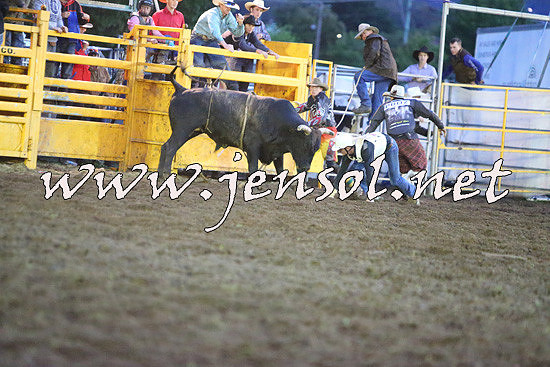 QueanbeyanRodeo2014_3415