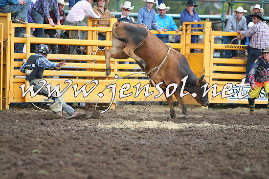 QueanbeyanRodeo2014_2746