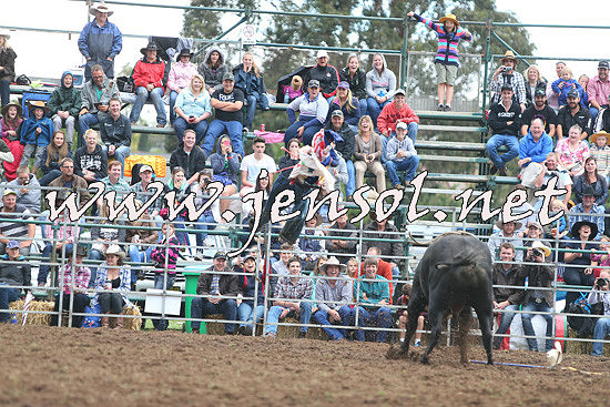 QueanbeyanRodeo2014_2614