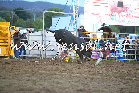 QueanbeyanRodeo2014_3401