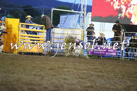 QueanbeyanRodeo2014_3424