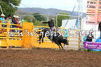 QueanbeyanRodeo2014_2602