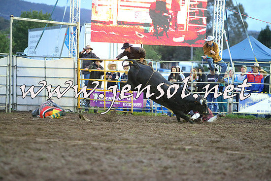 QueanbeyanRodeo2014_3391