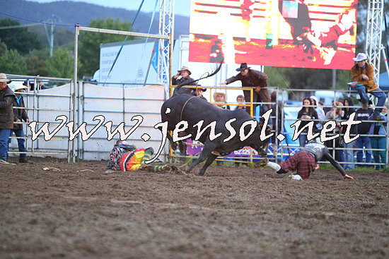 QueanbeyanRodeo2014_3399