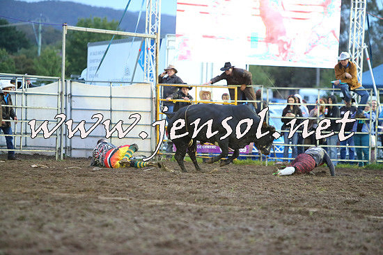 QueanbeyanRodeo2014_3394