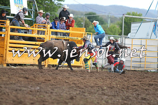 QueanbeyanRodeo2014_2675