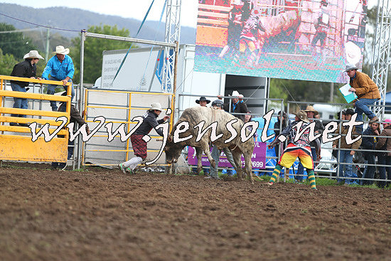 QueanbeyanRodeo2014_2711