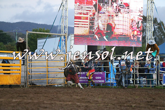 QueanbeyanRodeo2014_3271