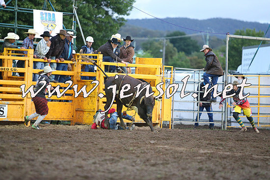 QueanbeyanRodeo2014_3251