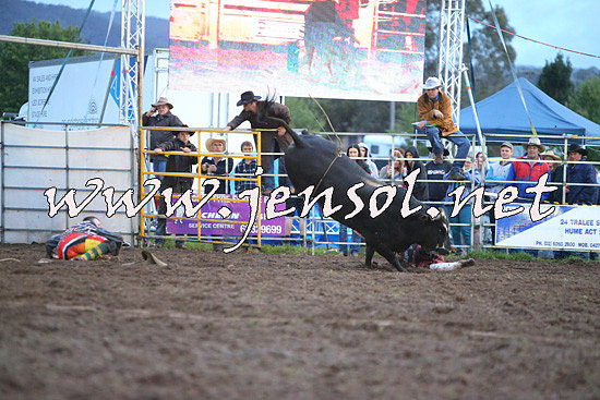 QueanbeyanRodeo2014_3395