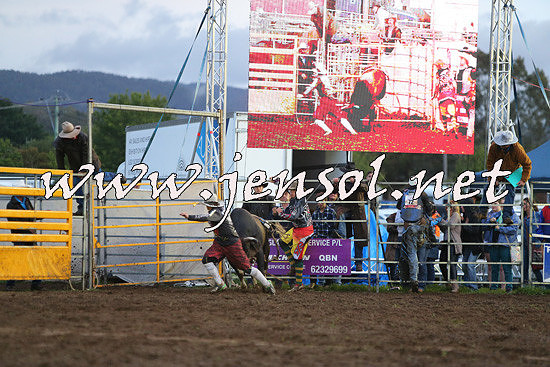 QueanbeyanRodeo2014_3272