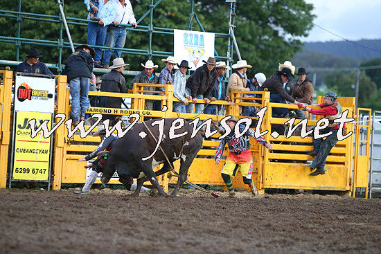 QueanbeyanRodeo2014_3257