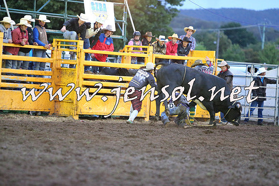 QueanbeyanRodeo2014_3385