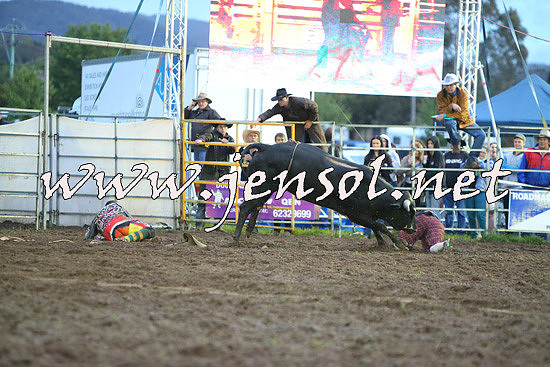 QueanbeyanRodeo2014_3390