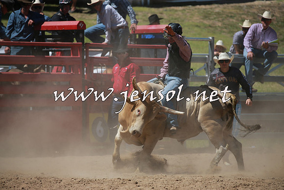 CoomaRodeo2016_0761