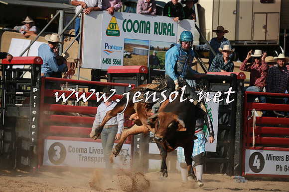 CoomaRodeo2016_2556