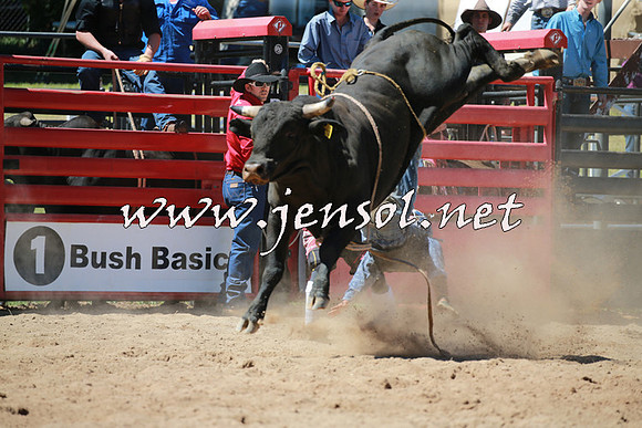 CoomaRodeo2016_0868