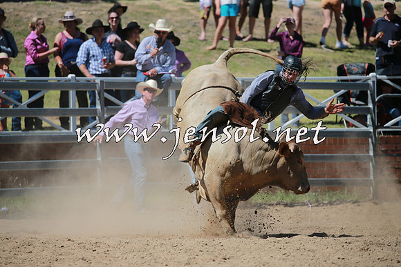 CoomaRodeo2016_0959