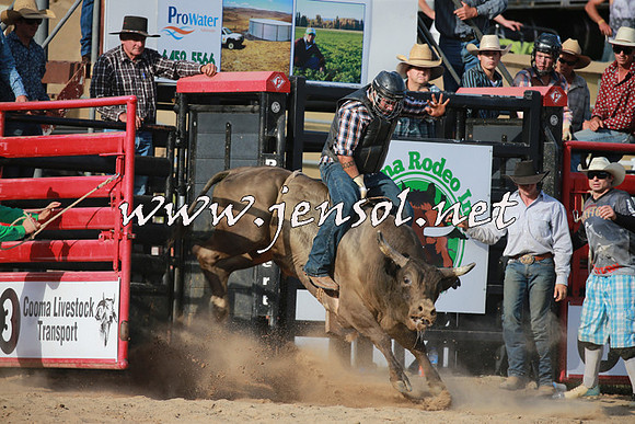 CoomaRodeo2016_2599