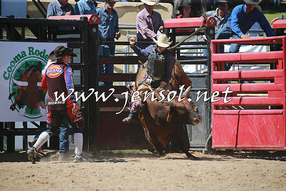 CoomaRodeo2016_1050