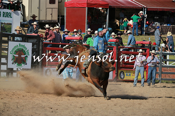 CoomaRodeo2016_2548