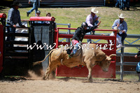 CoomaRodeo2016_0799