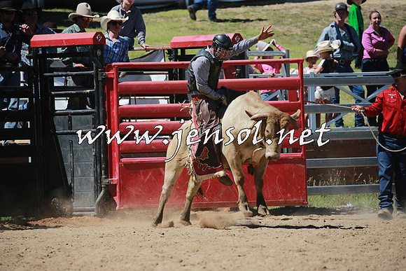 CoomaRodeo2016_0953