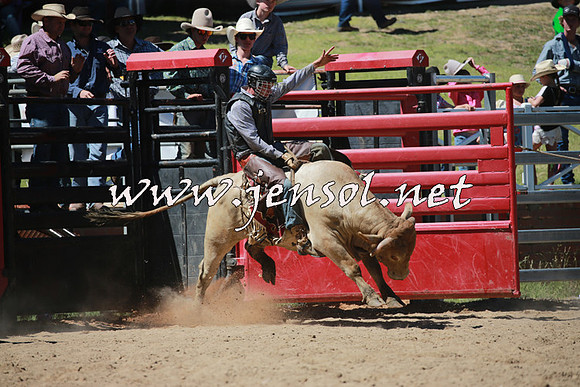 CoomaRodeo2016_0943
