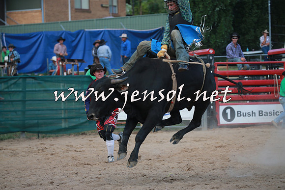 CoomaRodeo2016_2754