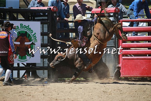 CoomaRodeo2016_1061