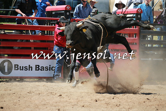 CoomaRodeo2016_0854