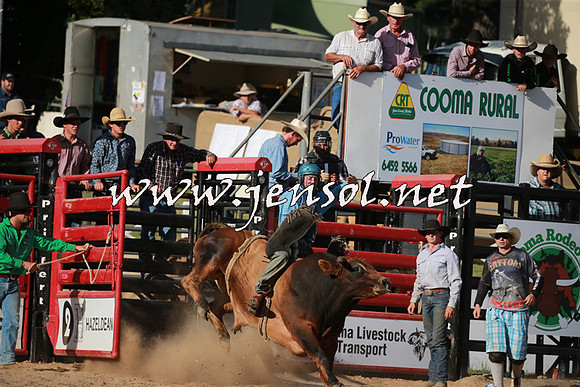 CoomaRodeo2016_2539