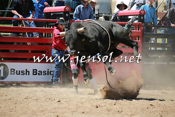 CoomaRodeo2016_0858