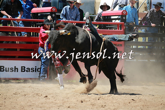 CoomaRodeo2016_0855