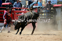 CoomaRodeo2016_0856