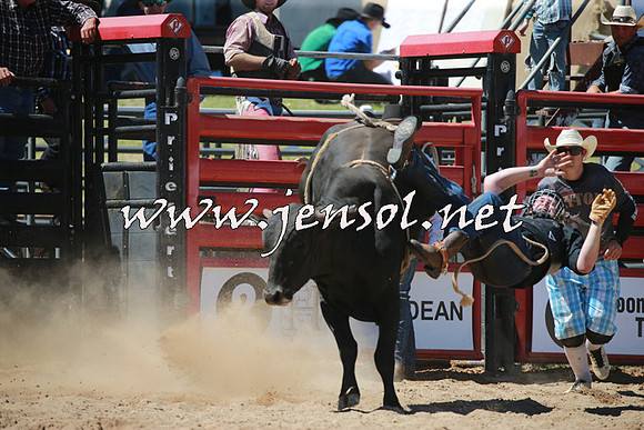 CoomaRodeo2016_0893