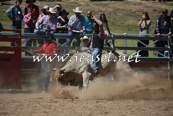 CoomaRodeo2016_0912