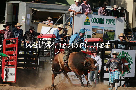 CoomaRodeo2016_2536